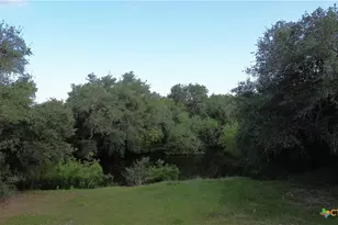 3382 E Fm 1961, Goliad, TX 77963 - Photo 16