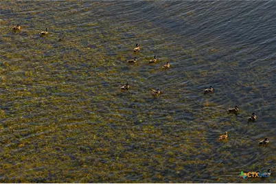 345 Fm 933, Aquilla, TX 76622 - Photo 26