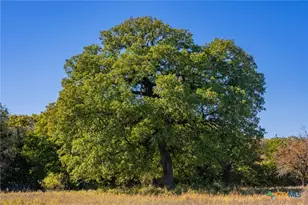 345 Fm 933, Aquilla, TX 76622 - Photo 30