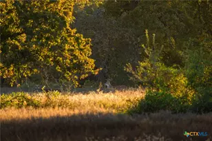 345 Fm 933, Aquilla, TX 76622 - Photo 12