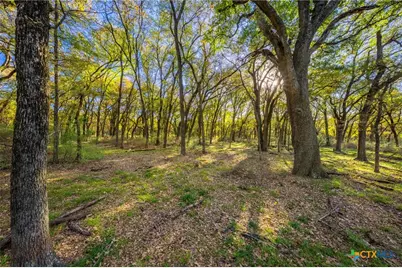 345 Fm 933, Aquilla, TX 76622 - Photo 22