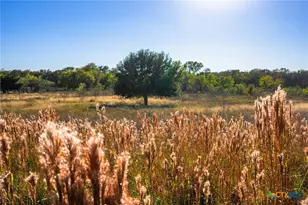 345 Fm 933, Aquilla, TX 76622 - Photo 24