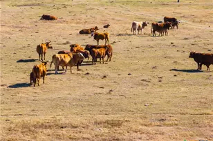 2927 County Rd 302, Bartlett, TX 76511 - Photo 8