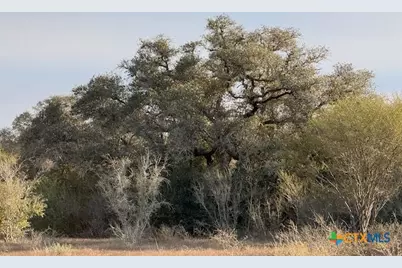 588 Gohmert Road, Cuero, TX 77954 - Photo 4