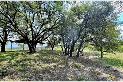 3259 Schumann Road, Stonewall, TX 78671 - Photo 14