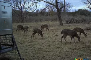 3259 Schumann Rd, Stonewall, TX 78671 - Photo 36