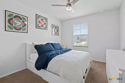 113 Lily Pond Trail, San Marcos, TX 78666 - Photo 18