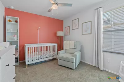 113 Lily Pond Trail, San Marcos, TX 78666 - Photo 16