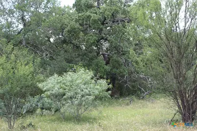 0 Fm 3353, Kingsbury, TX 78638 - Photo 1