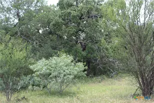 0 Fm 3353, Kingsbury, TX 78638 - Photo 1