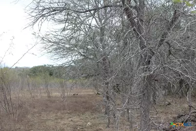 0 Fm 3353, Kingsbury, TX 78638 - Photo 8