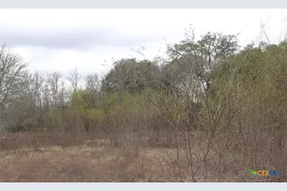 0 Fm 3353, Kingsbury, TX 78638 - Photo 10