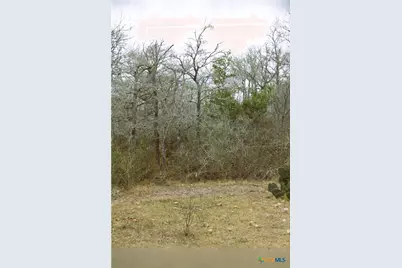 0 Fm 3353, Kingsbury, TX 78638 - Photo 10