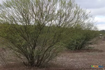0 Fm 3353, Kingsbury, TX 78638 - Photo 2
