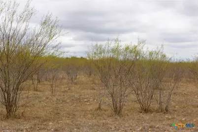 0 Fm 3353, Kingsbury, TX 78638 - Photo 14