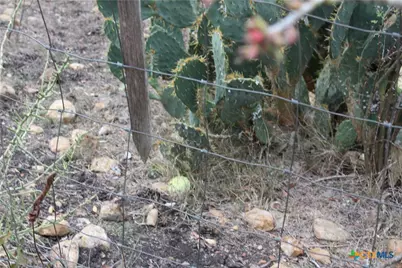 0 Fm 3353, Kingsbury, TX 78638 - Photo 4