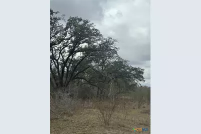 0 Fm 3353, Kingsbury, TX 78638 - Photo 12