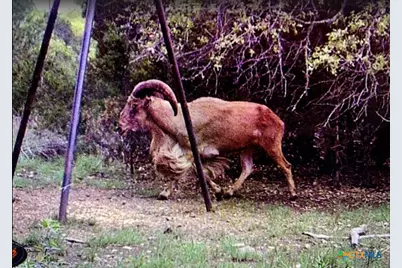 Tbd Skyridge Road, Lampasas, TX 76550 - Photo 24