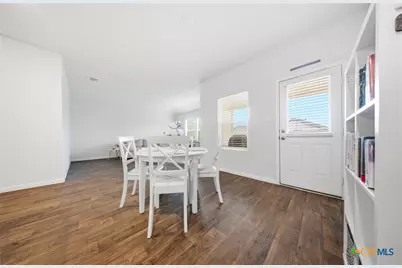 323 Elephants Ear Drive, New Braunfels, TX 78130 - Photo 6