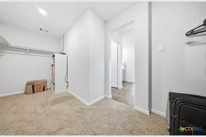 323 Elephants Ear Drive, New Braunfels, TX 78130 - Photo 18