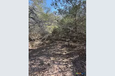 0 Fm-1447, Yoakum, TX 77995 - Photo 8