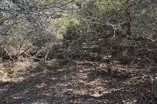 0 FM 1447, Yoakum, TX 77995 - Photo 8