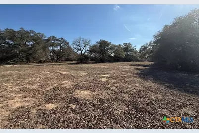 0 Fm-1447, Yoakum, TX 77995 - Photo 1