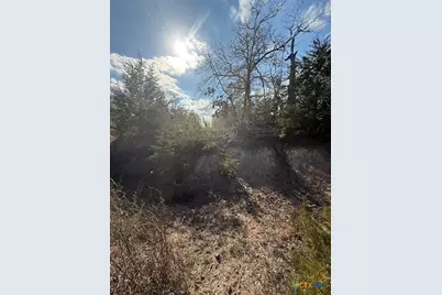 0 Fm-1447, Yoakum, TX 77995 - Photo 10