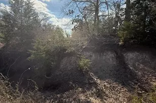 0 FM 1447, Yoakum, TX 77995 - Photo 10