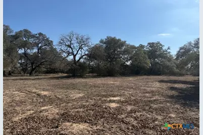 0 Fm-1447, Yoakum, TX 77995 - Photo 2