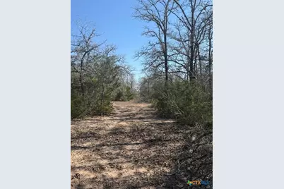 0 Fm-1447, Yoakum, TX 77995 - Photo 8