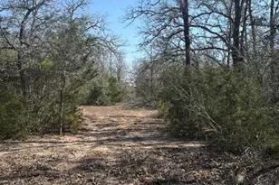 0 FM 1447, Yoakum, TX 77995 - Photo 8