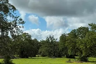 0 FM 1447, Yoakum, TX 77995 - Photo 2