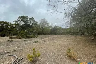 125 Pecan Dr, Spring Branch, TX 78070 - Photo 10