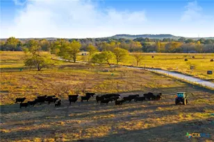 Tbd 10 86 Acres Tract 4 Village Ln, Seguin, TX 78155 - Photo 16