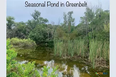 807 Stagecoach, Spring Branch, TX 78070 - Photo 10