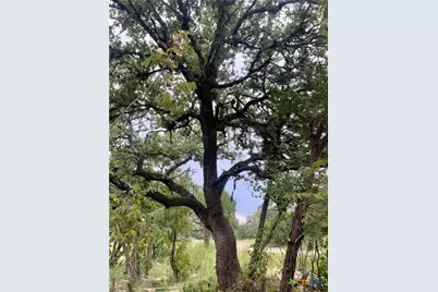 807 Stagecoach, Spring Branch, TX 78070 - Photo 4