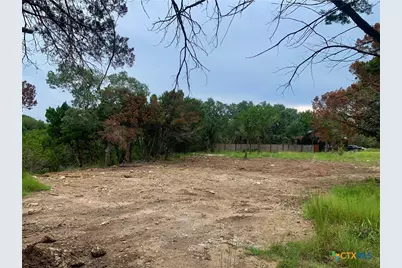 807 Stagecoach, Spring Branch, TX 78070 - Photo 6