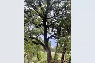 807 Stagecoach, Spring Branch, TX 78070 - Photo 4