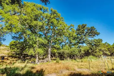 530 Stallion Estates, Spring Branch, TX 78070 - Photo 12
