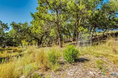 530 Stallion Estates, Spring Branch, TX 78070 - Photo 10