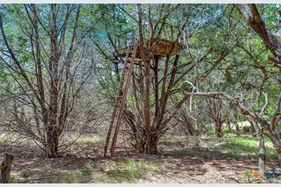 530 Stallion Estates, Spring Branch, TX 78070 - Photo 16