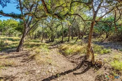 530 Stallion Estates, Spring Branch, TX 78070 - Photo 14