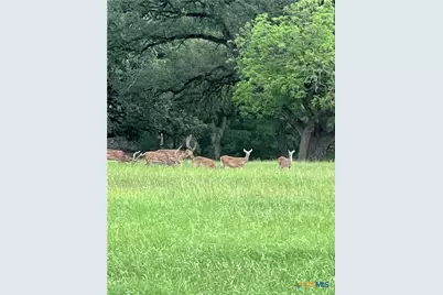 831 Wade Road, New Braunfels, TX 78132 - Photo 22