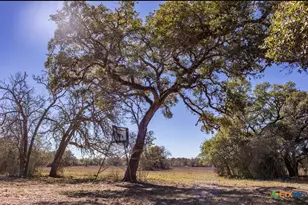 000 County Road 284, Edna, TX 77957 - Photo 28