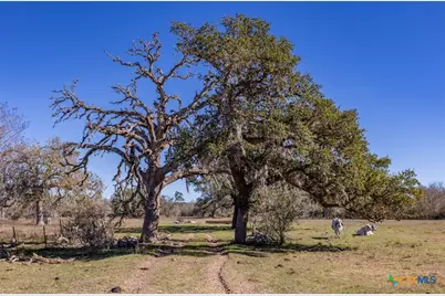 000 County Road 284, Edna, TX 77957 - Photo 16
