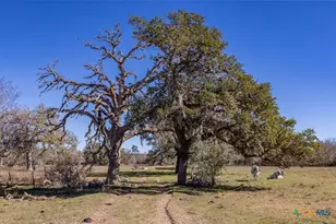 000 County Road 284, Edna, TX 77957 - Photo 16