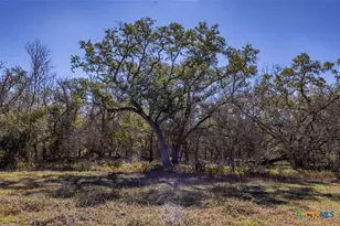 000 County Road 284, Edna, TX 77957 - Photo 8