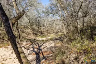 000 County Road 284, Edna, TX 77957 - Photo 20