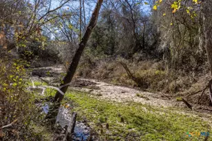 000 County Road 284, Edna, TX 77957 - Photo 2